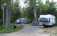 Spacious forested camp sites